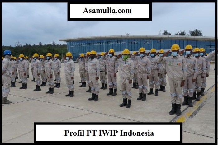 Review Pengalaman Kerja Di PT Iwip